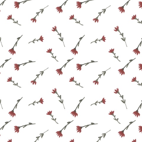 Autumn Baking Diary Collection H