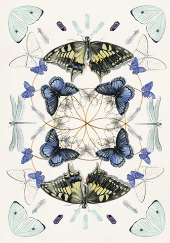 Butterfly Mandala Collection B