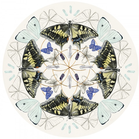 Butterfly Mandala Collection C