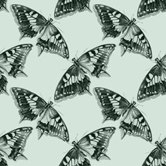 Butterfly Mandala Collection G