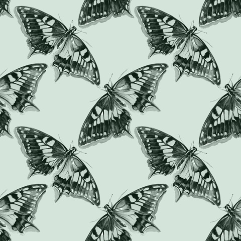 Butterfly Mandala Collection G