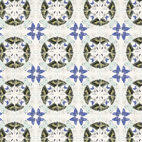 Butterfly Mandala Collection H