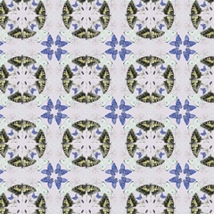 Butterfly Mandala Collection I