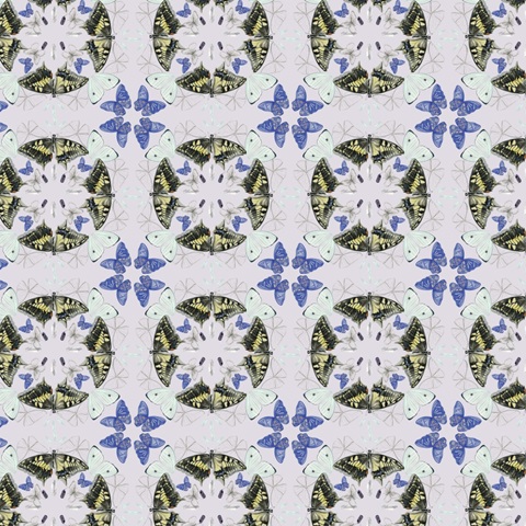 Butterfly Mandala Collection I