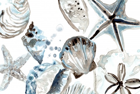 Cerulean Seashells Collection A