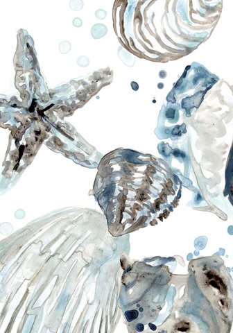 Cerulean Seashells Collection B