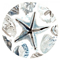 Cerulean Seashells Collection C