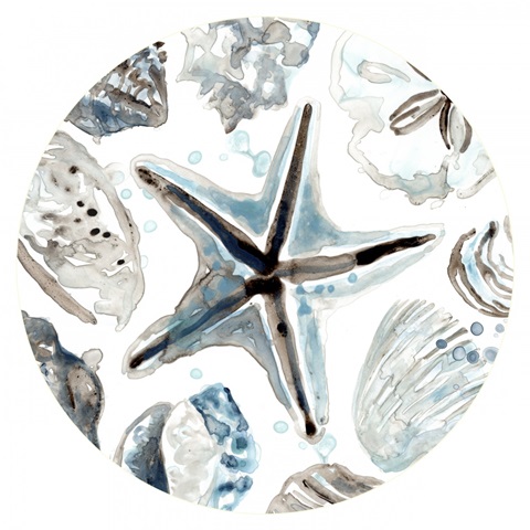 Cerulean Seashells Collection C