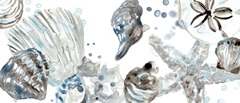 Cerulean Seashells Collection D