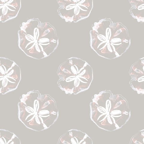 Cerulean Seashells Collection G