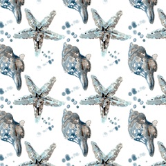 Cerulean Seashells Collection H