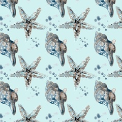 Cerulean Seashells Collection I