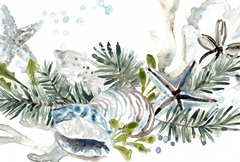 Coastal Christmas Shell Collection A