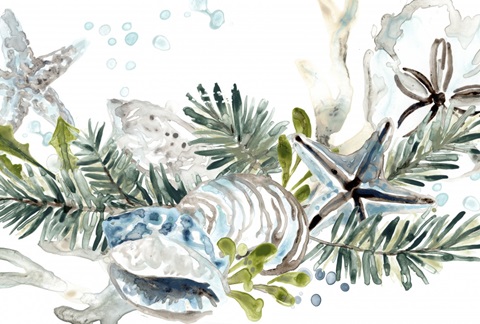 Coastal Christmas Shell Collection A