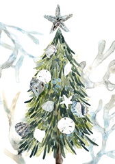 Coastal Christmas Shell Collection B