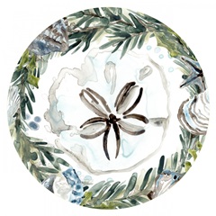 Coastal Christmas Shell Collection C