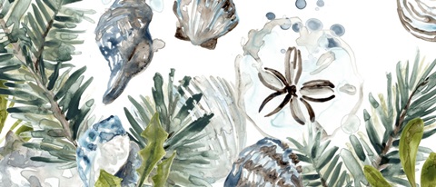 Coastal Christmas Shell Collection D