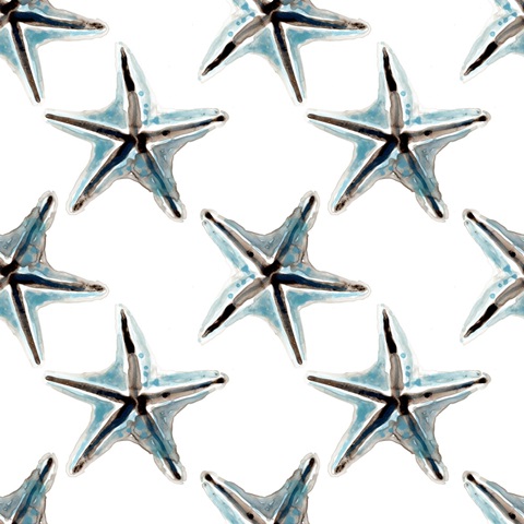 Coastal Christmas Shell Collection F