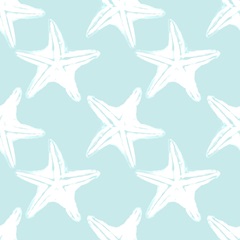 Coastal Christmas Shell Collection G