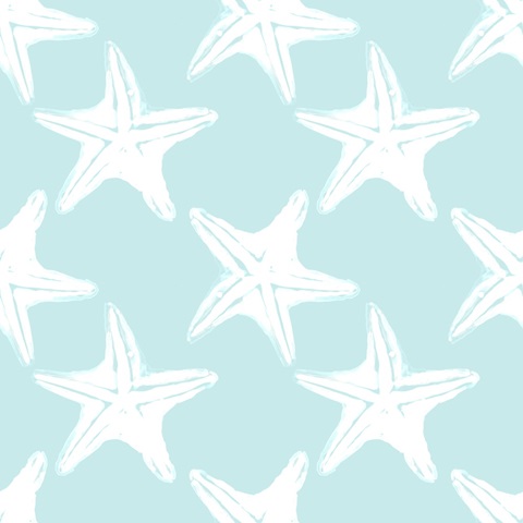 Coastal Christmas Shell Collection G