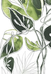 Expressive Palm Collection B