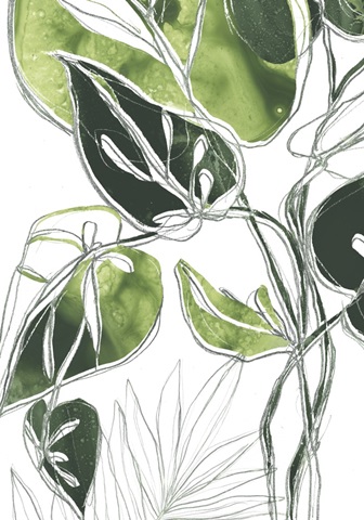 Expressive Palm Collection B