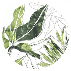 Expressive Palm Collection C