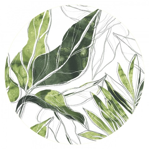 Expressive Palm Collection C