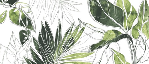 Expressive Palm Collection D