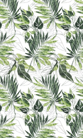 Expressive Palm Collection E