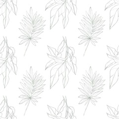 Expressive Palm Collection F