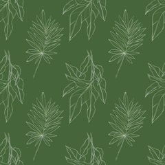 Expressive Palm Collection G