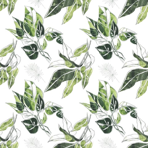 Expressive Palm Collection H