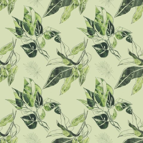 Expressive Palm Collection I