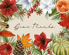 Harvest Spice Collection A