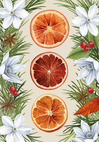 Harvest Spice Collection B