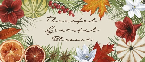 Harvest Spice Collection D