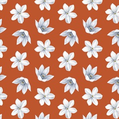 Harvest Spice Collection F