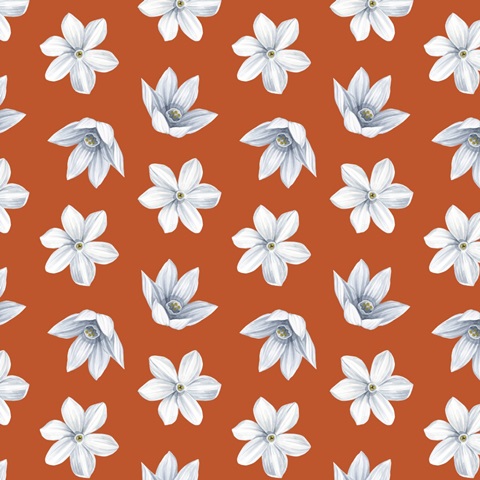 Harvest Spice Collection F