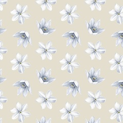 Harvest Spice Collection G