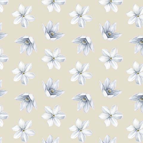 Harvest Spice Collection G