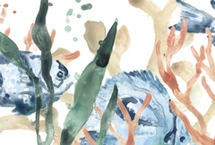 In the Kelp Collection A