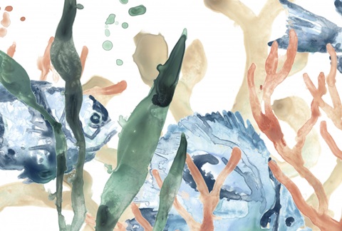 In the Kelp Collection A