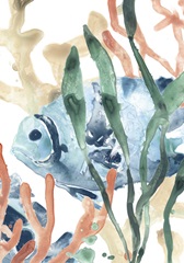 In the Kelp Collection B