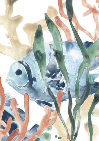 In the Kelp Collection B