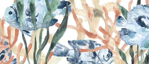 In the Kelp Collection D