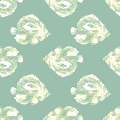 In the Kelp Collection G