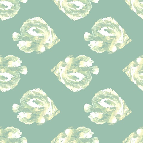 In the Kelp Collection G