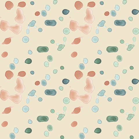 In the Kelp Collection I