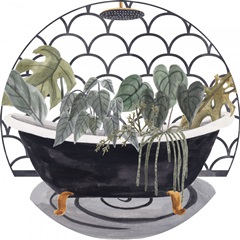 Meeting Myself Collection C